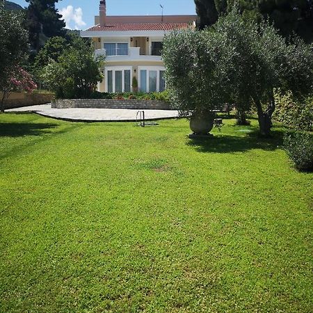 Villa Vasiliki Palaiontsiflikion Luaran gambar