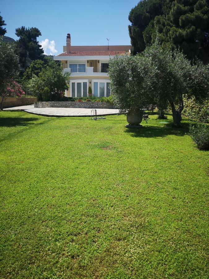 Villa Vasiliki Palaiontsiflikion Luaran gambar